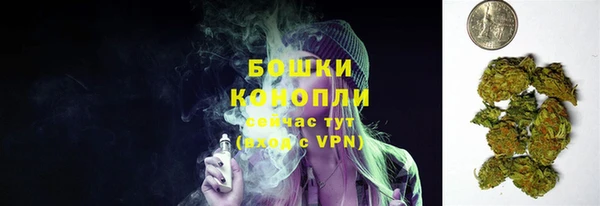 СК Арсеньев