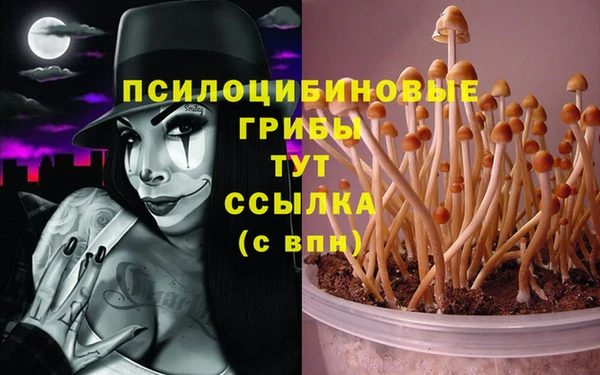 СК Арсеньев