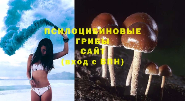 СК Арсеньев
