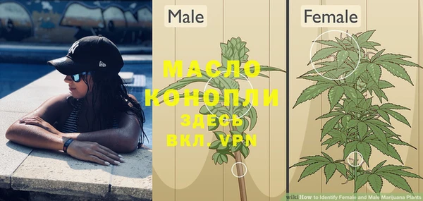 мяу мяу мука Вуктыл